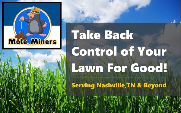 Call 629-277-0933 For Professional Ground Mole Removal in and Around Nashville Tennessee